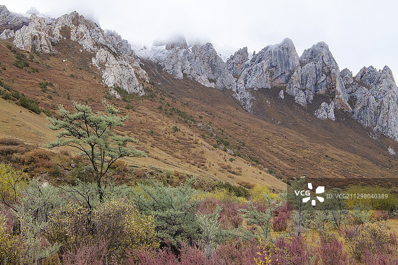 山地风光，青海昂赛自然保护区，中国图片素材