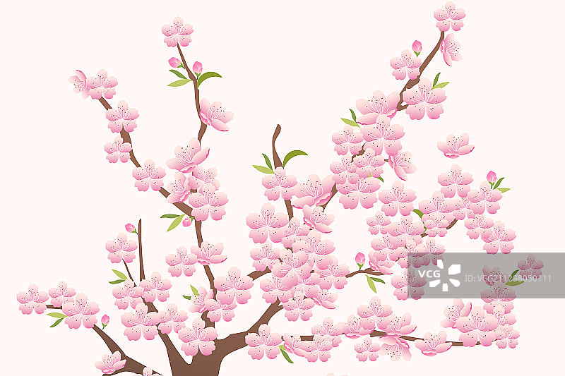 桃花樱花春天节日花朵插画图片素材
