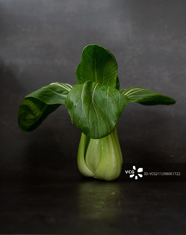 深色背景下的小白菜图片素材