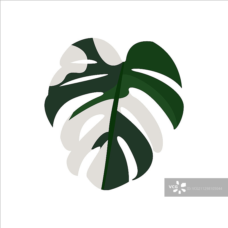 植物叶子剪贴画图片素材