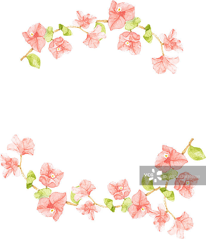 水彩粉色三角梅半圆花环图片素材