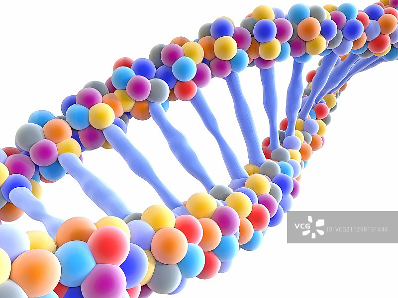 DNA分子、插图图片素材