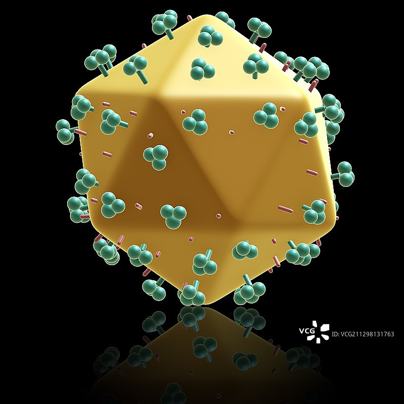 艾滋病病毒颗粒，图示图片素材