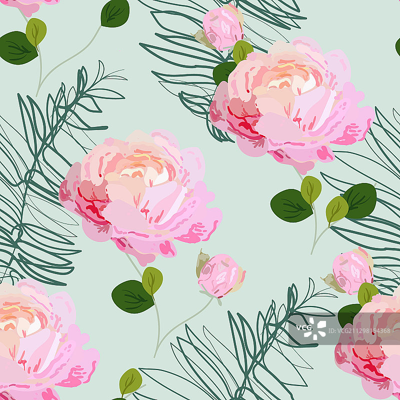 娇嫩的粉色玫瑰花序图片素材