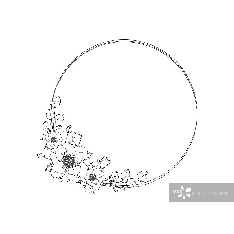 银莲花图片素材