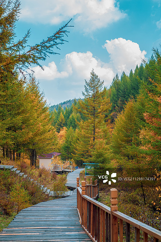 秋天的苏木山图片素材