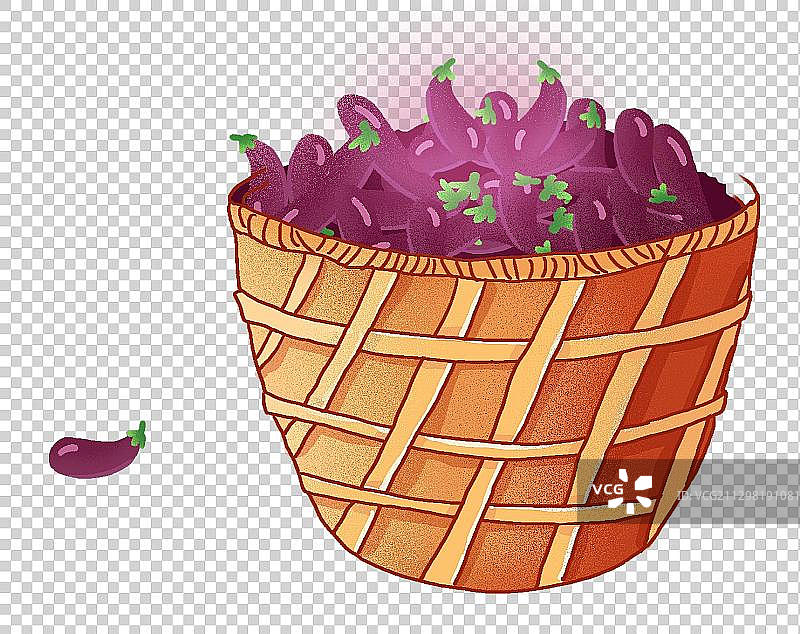 一箩筐茄子 丰收的季节图片素材