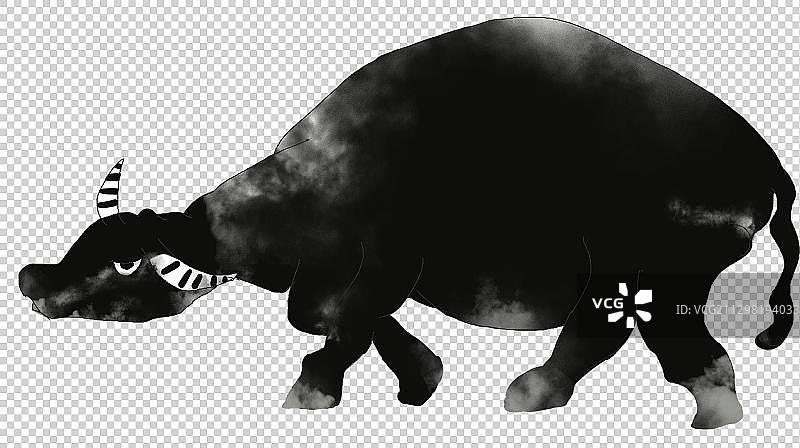 一头黑色的水牛图片素材