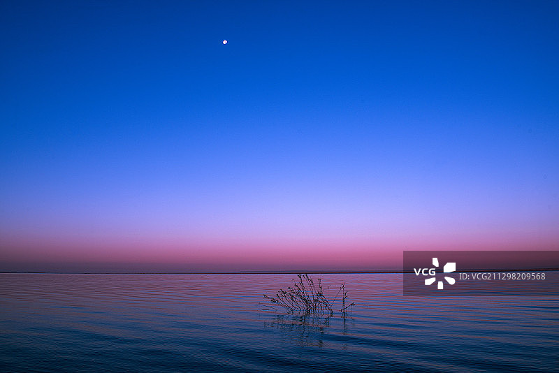 落日后宁静的湖面，水草与月亮的遥相对望，安静得令人遐思。遐思图片素材