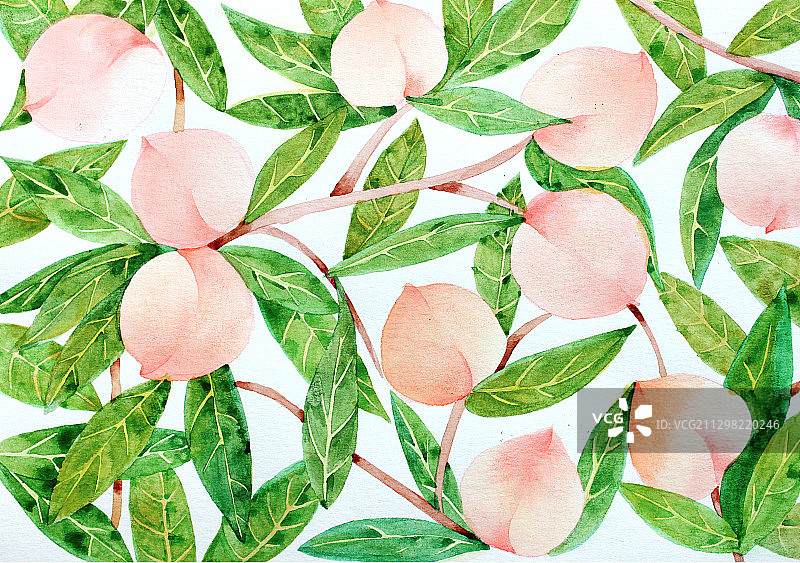 水蜜桃底纹背景水彩插画图片素材