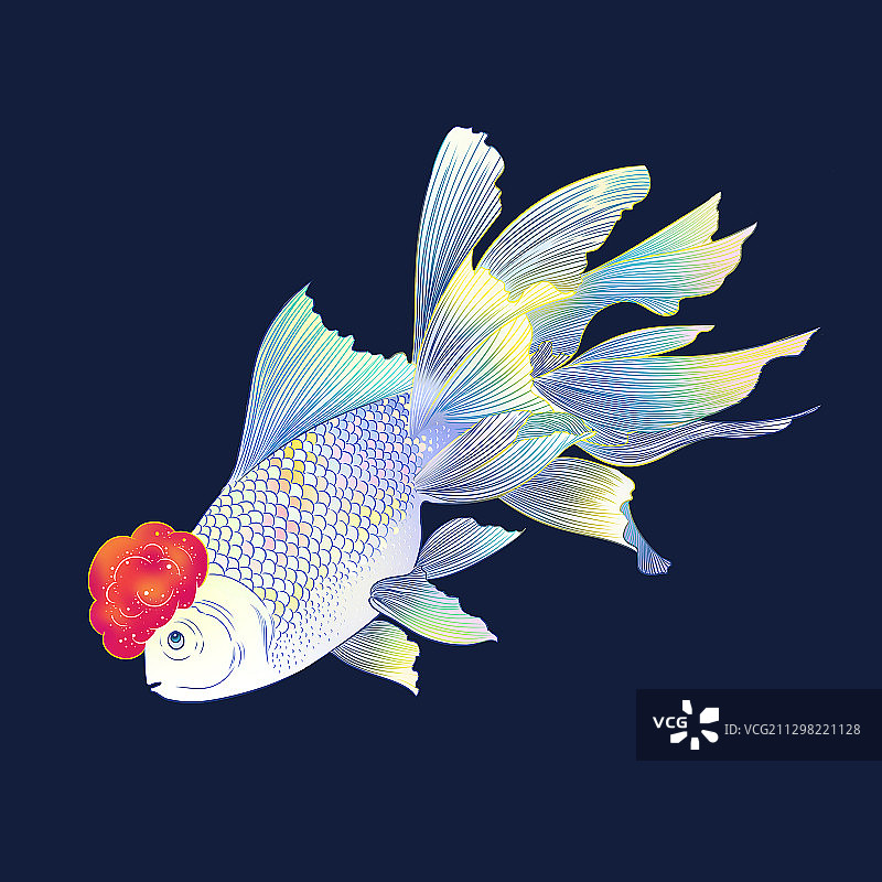 国风金鱼锦鲤元素插画图片素材