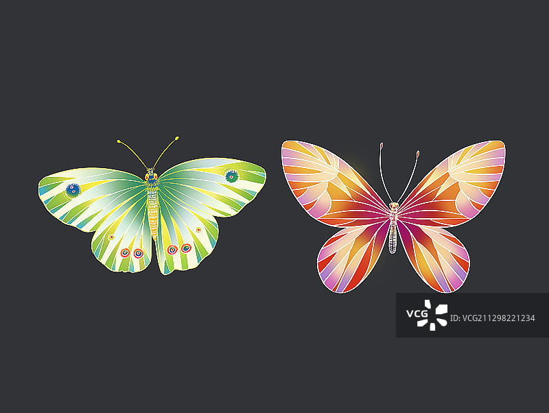 国风彩色蝴蝶插画图片素材