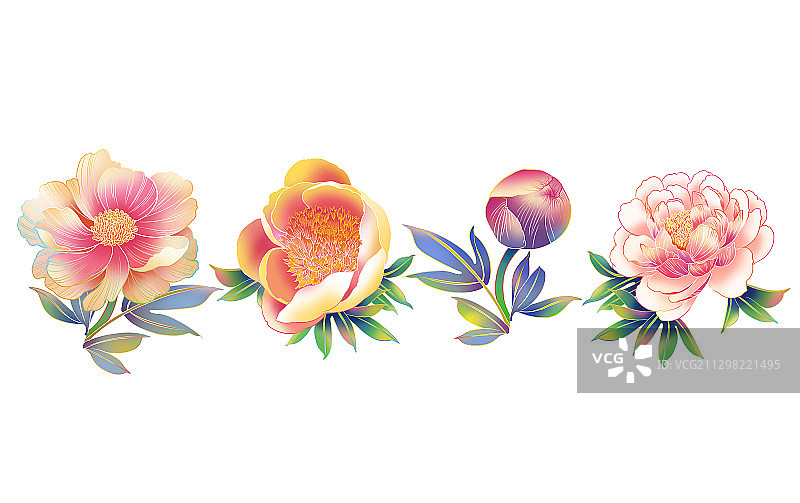 国风牡丹芍药插画图片素材