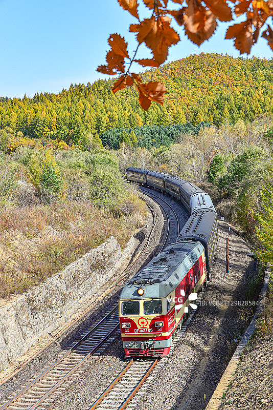 牡丹江-鹤岗4171次行驶在图佳线丘陵地带图片素材