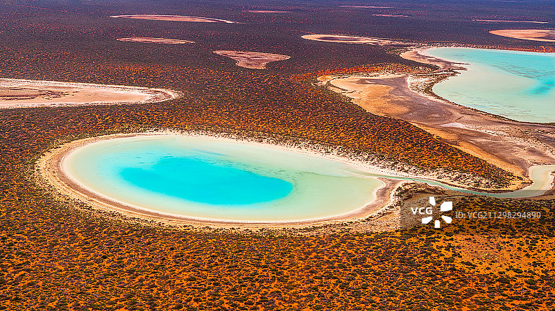 鲨鱼湾Shark Bay（西澳大利亚州）图片素材