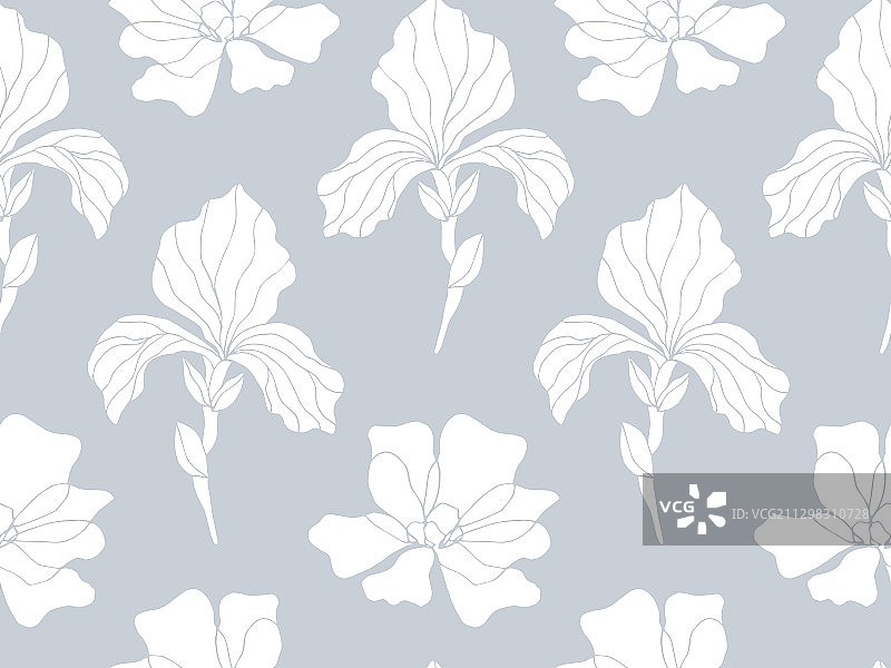 鸢尾花无缝花卉图案图片素材