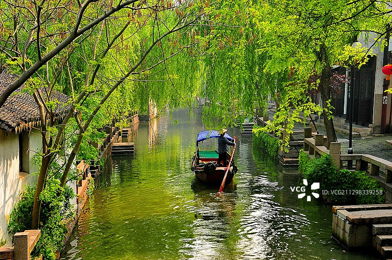 《春风又绿江南岸》图片素材