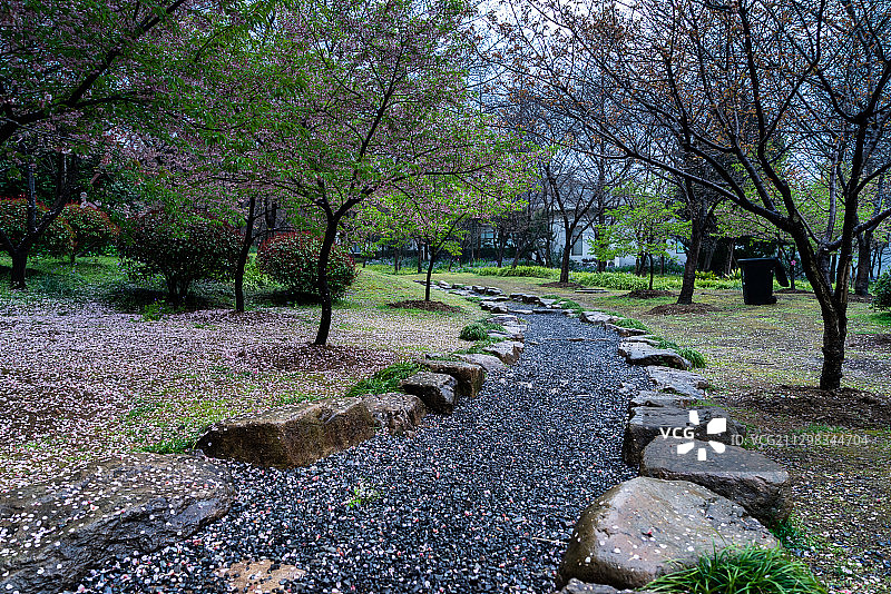 无锡鼋头渚樱花谷日式石头路景观图片素材