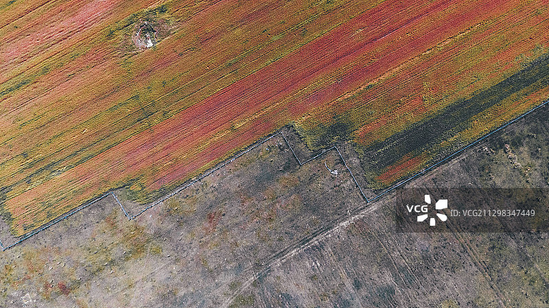 色彩的肌理，张北草原图片素材