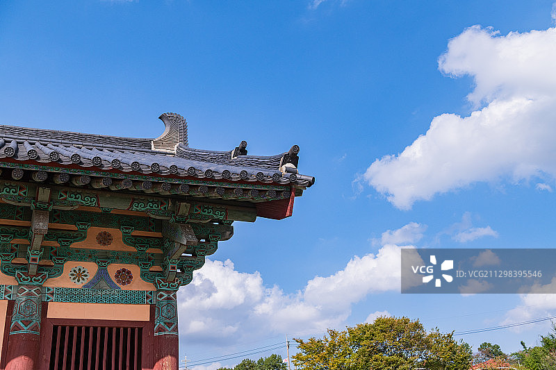 井林寺遗址的传统建筑屋顶图片素材