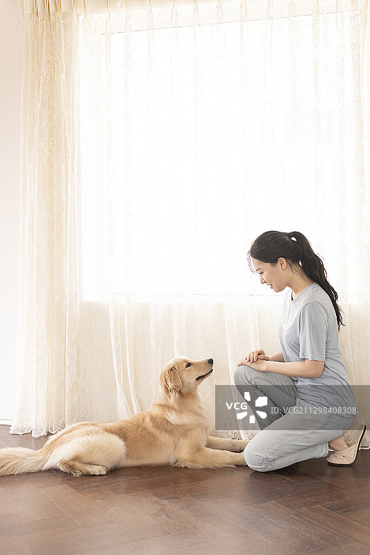 女人在客厅里教她的狗图片素材