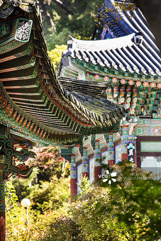 韩国传统寺庙建筑的屋顶和树木图片素材