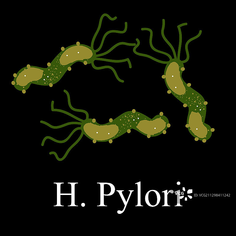 幽门螺杆菌图片素材