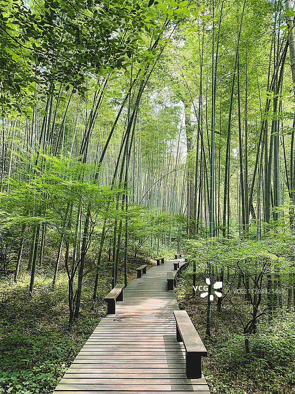 云栖竹径图片素材