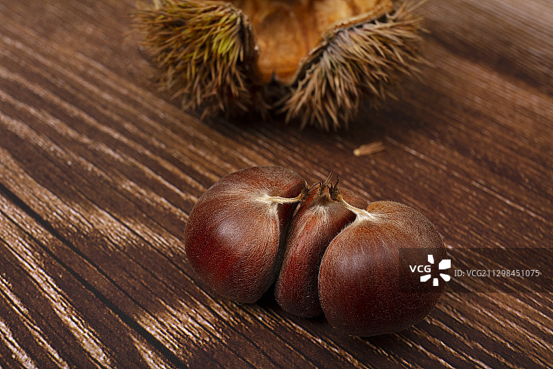 秋天成熟的板栗图片素材