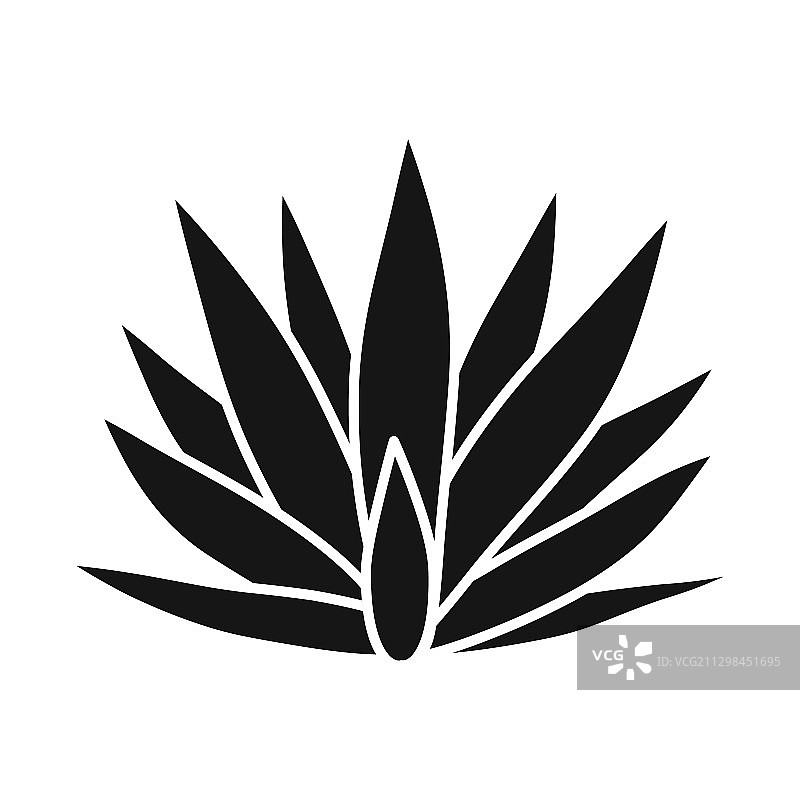 龙舌兰和龙舌兰酒标志图案图片素材