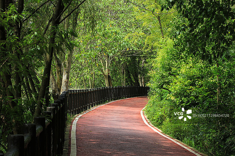 成都温江田园绿道秋日风景图片素材