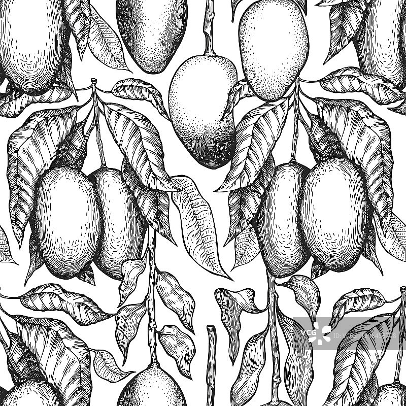 手绘热带芒果树枝无缝图案图片素材