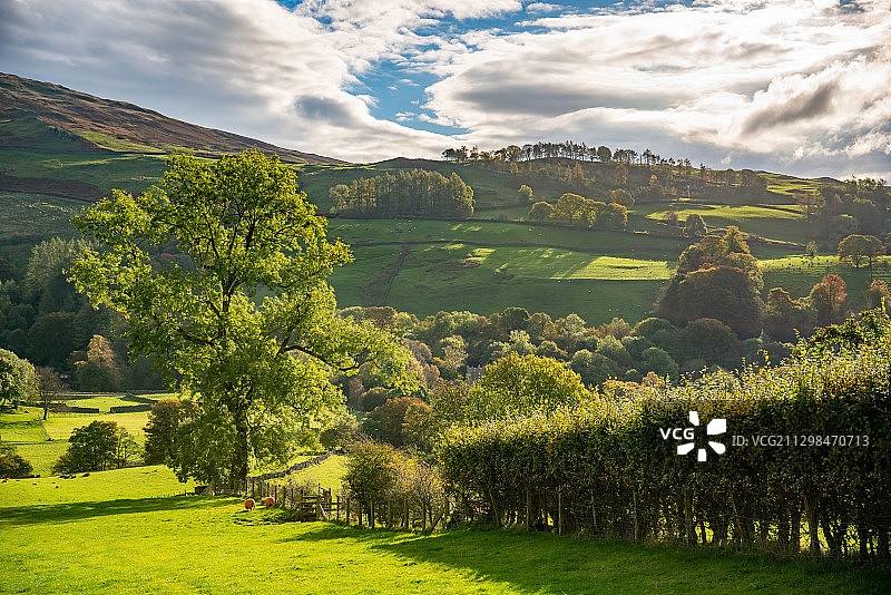 英国湖区牧场的自然风光图片素材