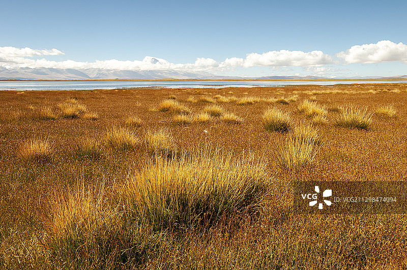 西藏玛旁雍错图片素材