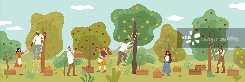 多种族人在采摘水果图片素材