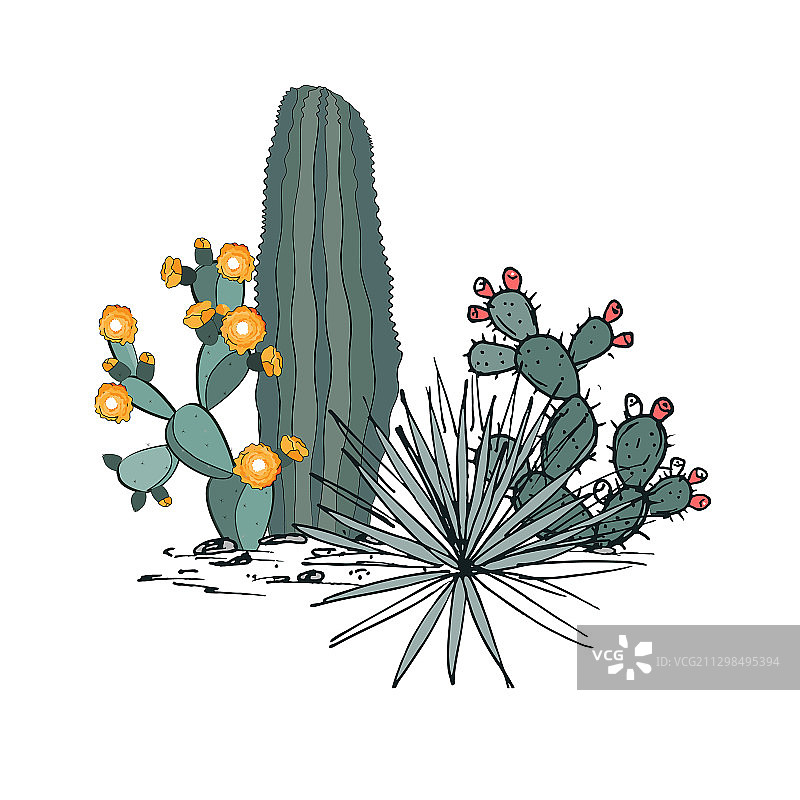 仙人掌装饰组合图片素材