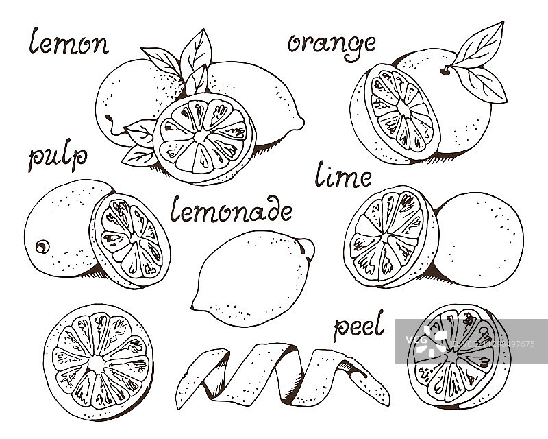 柠檬和橙子水果拼盘图片素材