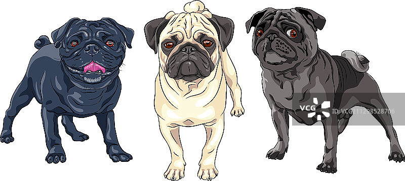 可爱巴哥犬图案合集图片素材