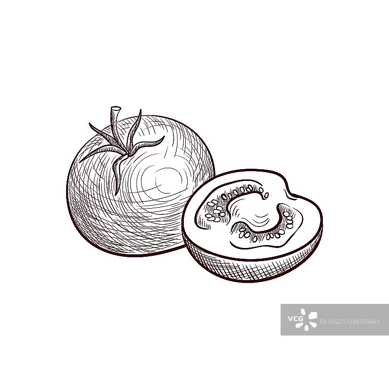 西红柿图片素材