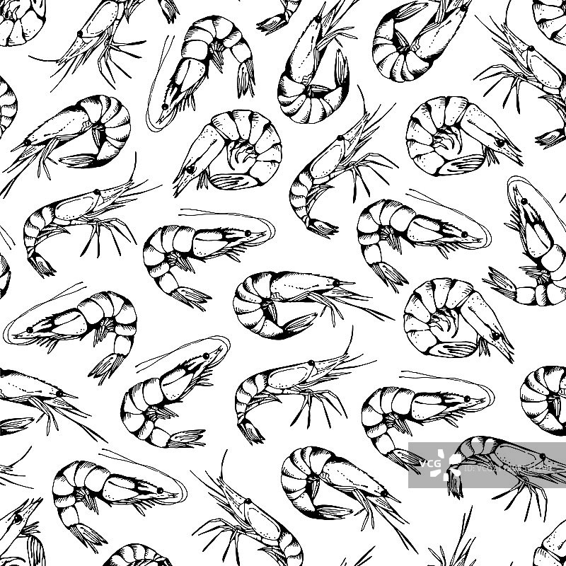 手绘虾图案无缝背景图片素材