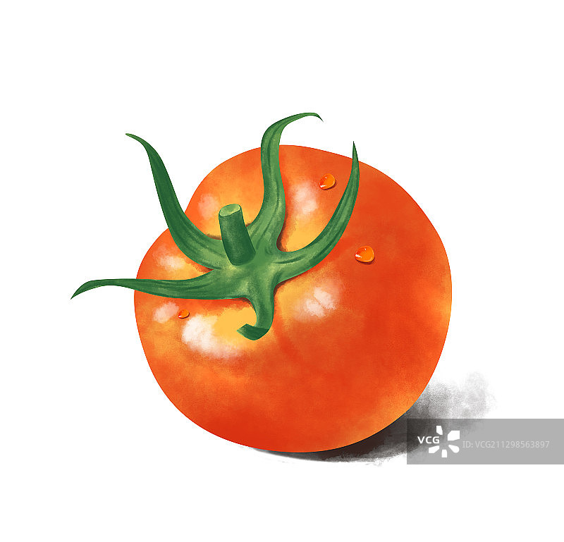 手绘板绘画蔬菜水果西红柿元素素材插画图片素材