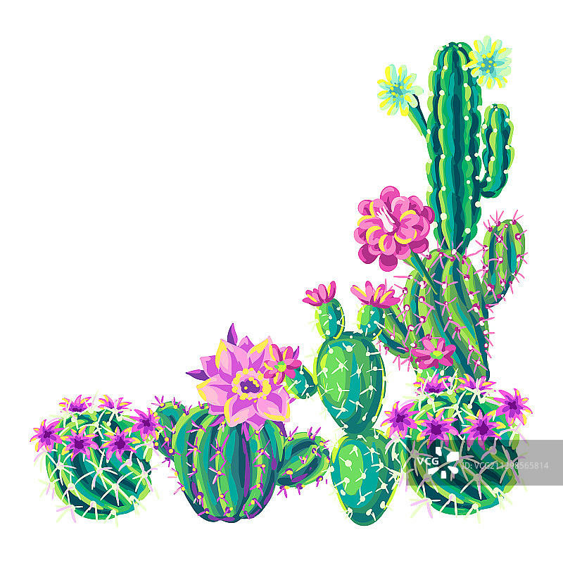 仙人掌和鲜花背景图片素材