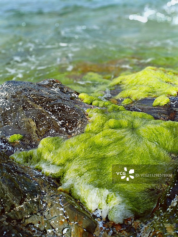 阿尔及利亚斯基克达海岸岩石高角度景观图片素材