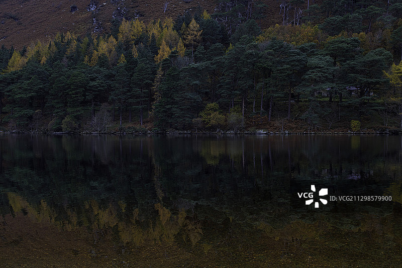 爱尔兰拉斯德拉姆森林湖泊风光图片素材