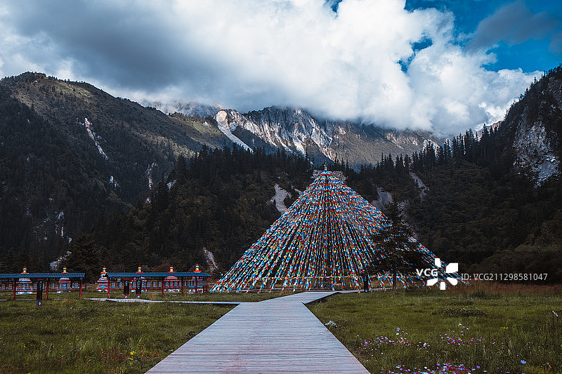 甘海子图片素材