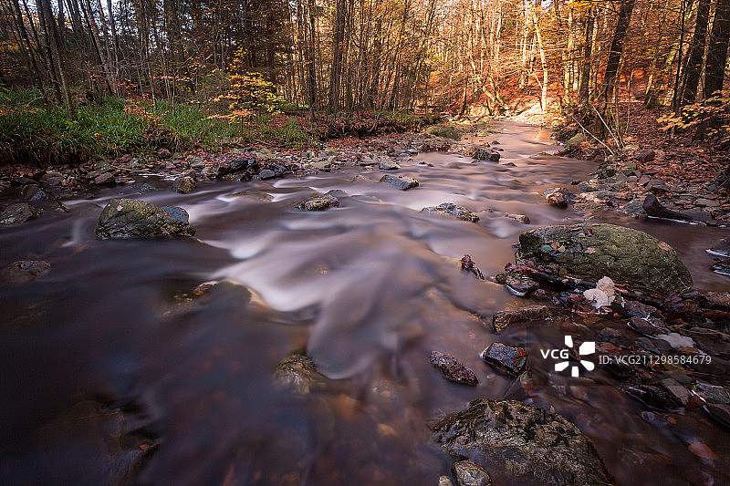 比利时马尔梅迪森林溪流风光图片素材