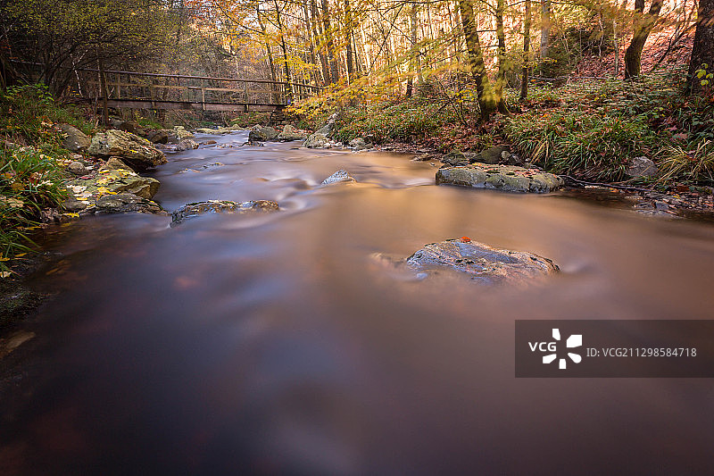 比利时马尔梅迪秋季森林中的河流美景图片素材