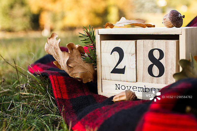 桌子上带有数字的文字和植物特写图片素材