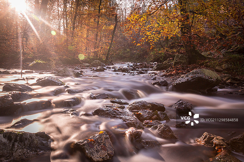 比利时马尔梅迪秋季森林瀑布的风景图片素材