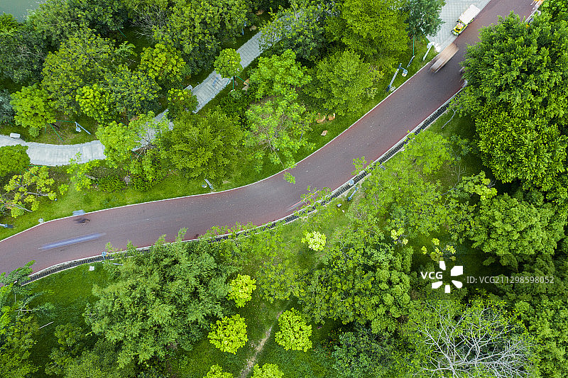 航拍公园里的绿道图片素材